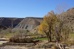 20200101-DSC06119