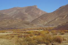 20200101-DSC06157